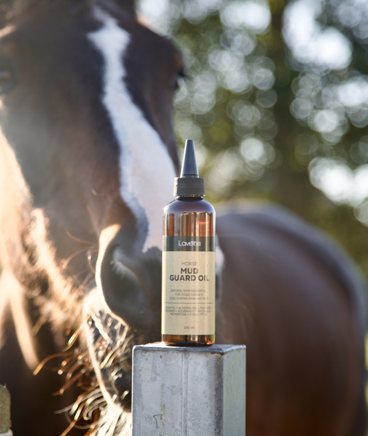 Horse - Mud Guard Oil